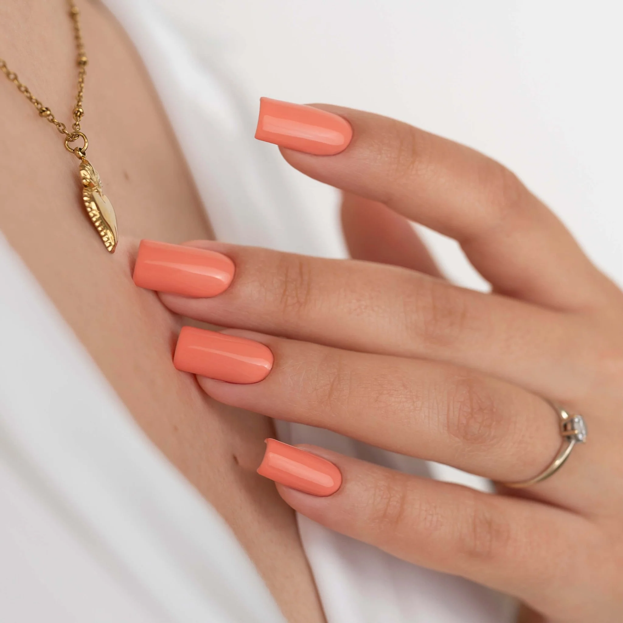 Collezione Reef - Image 4