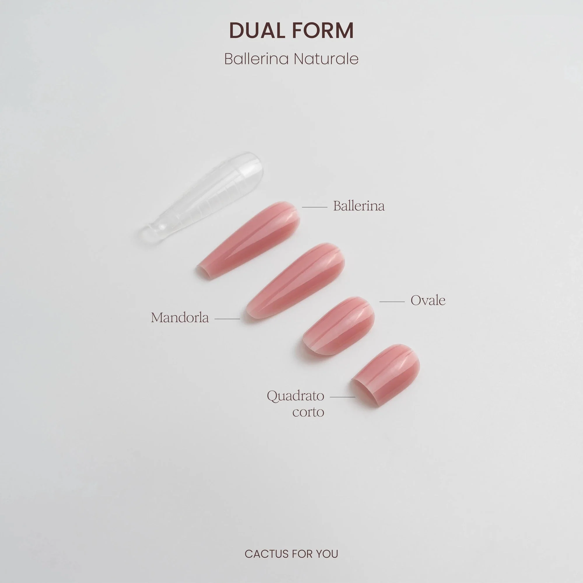 Dual Form Ballerina Naturale - 100 pcs - Image 2