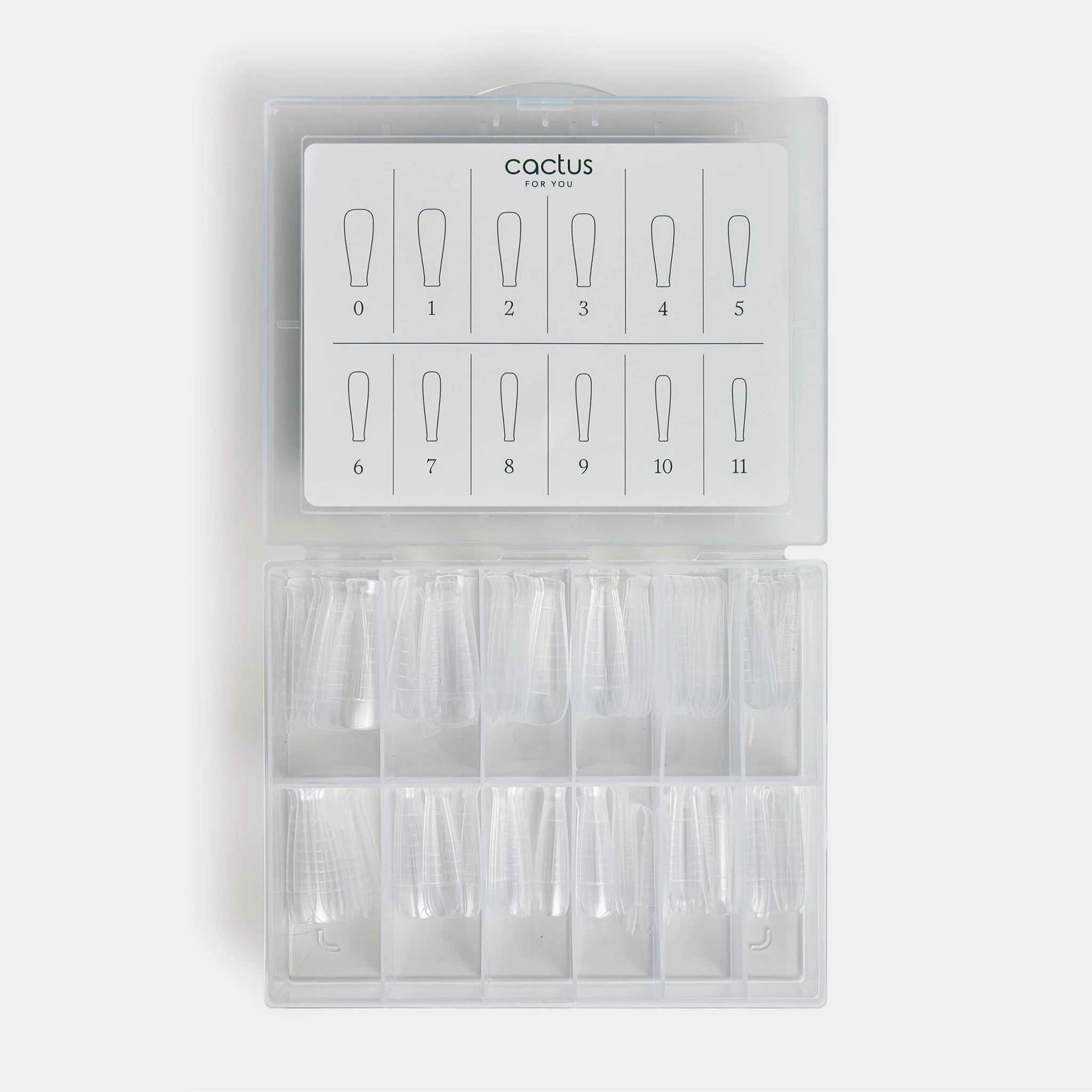 Dual Form Ballerina Naturale - 100 pcs - Image 5