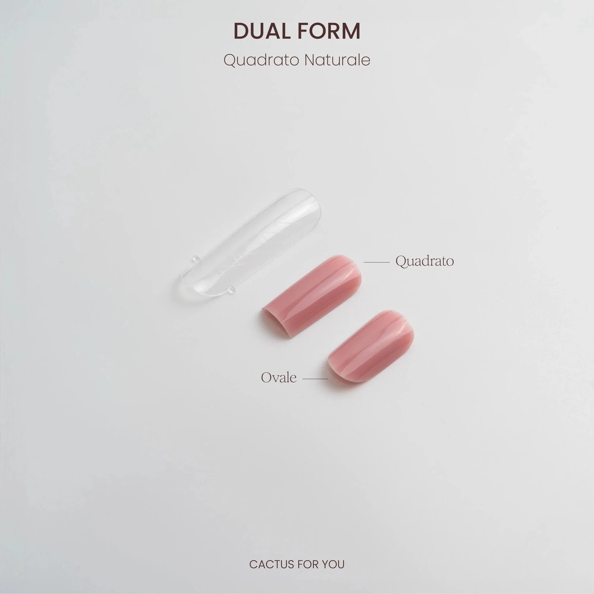 Dual Form Quadrato Naturale - 120 pcs - Image 2
