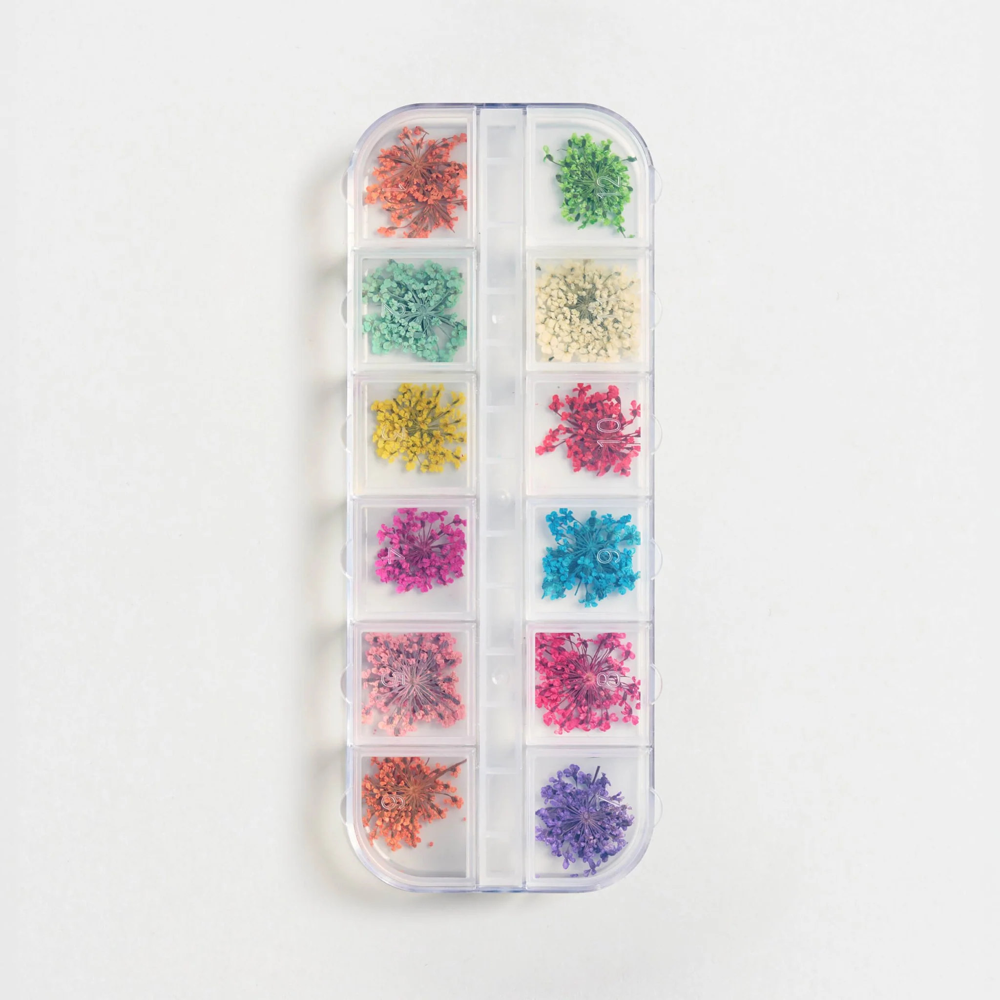 Fiori secchi - 12 pack - Image 2