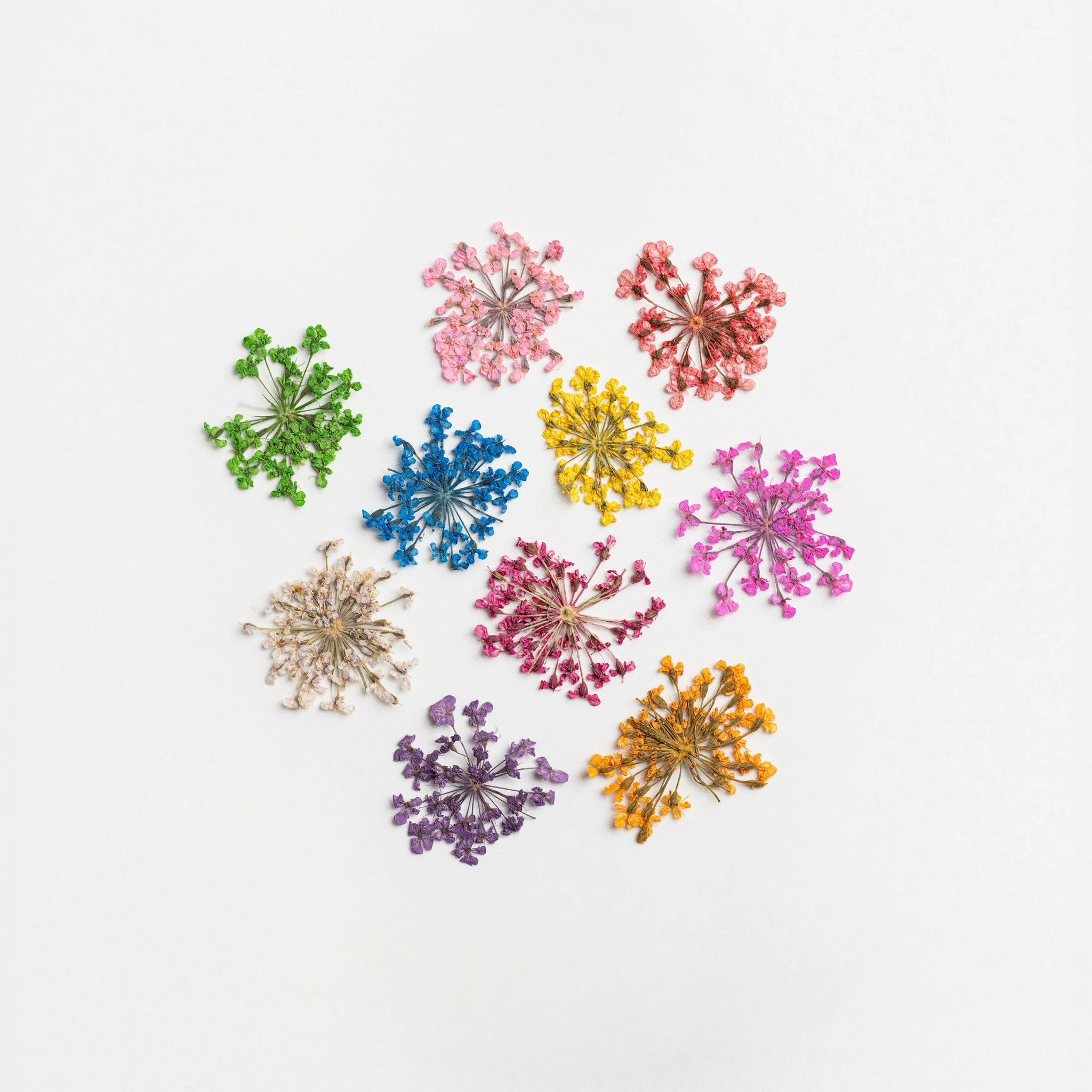 Fiori essiccati per Nail Art