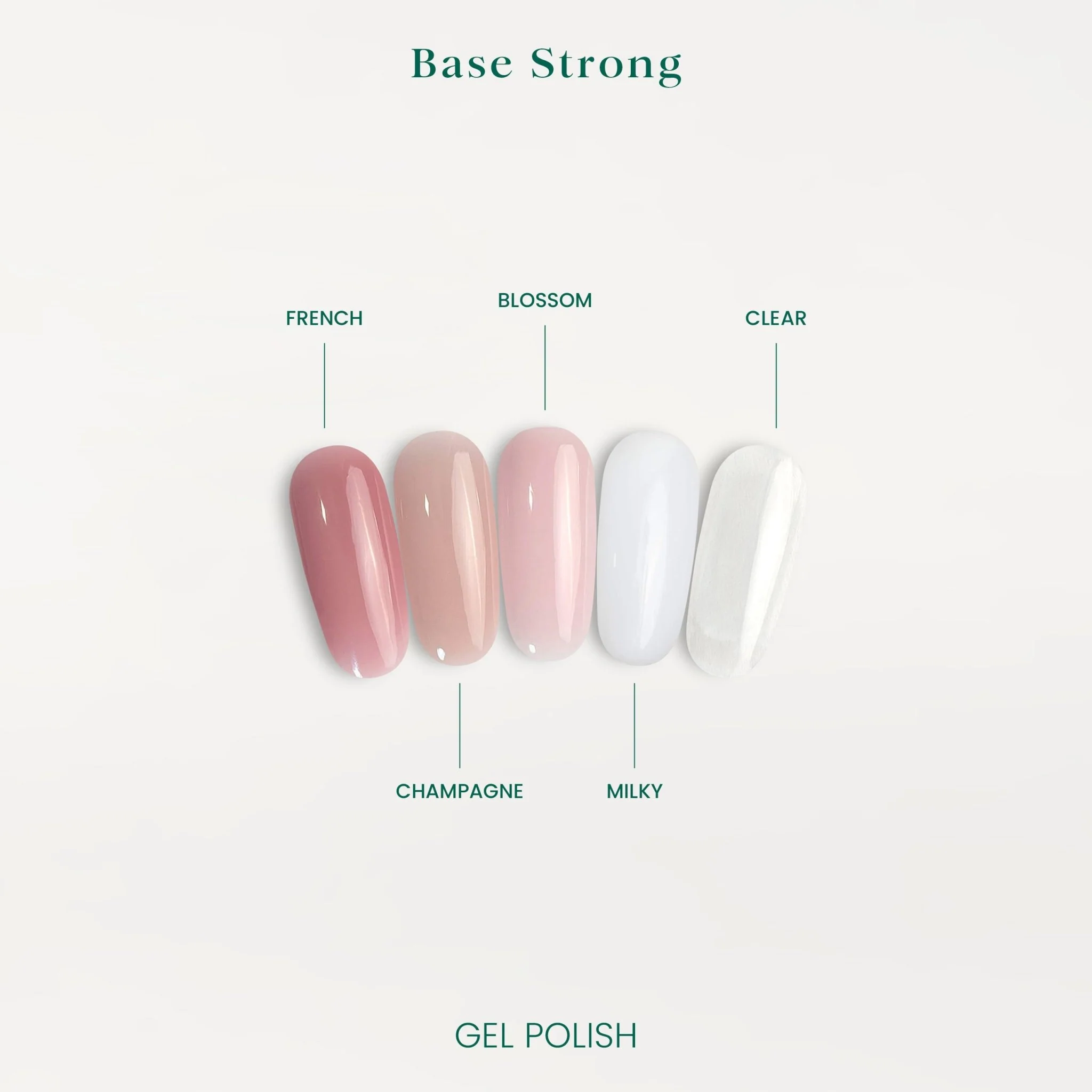 Strong Base Blossom - Outlet - Image 2
